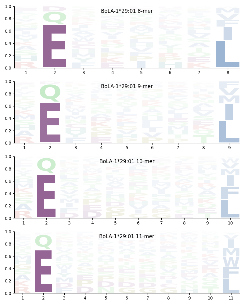 BoLA-1*29:01 motif