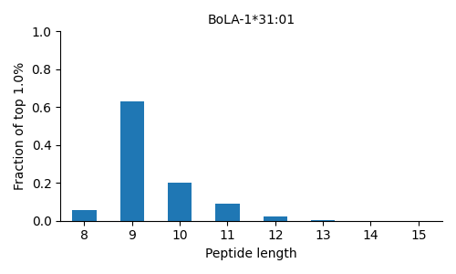 BoLA-1*31:01 length distribution