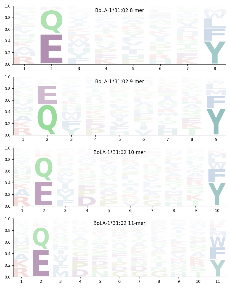 BoLA-1*31:02 motif