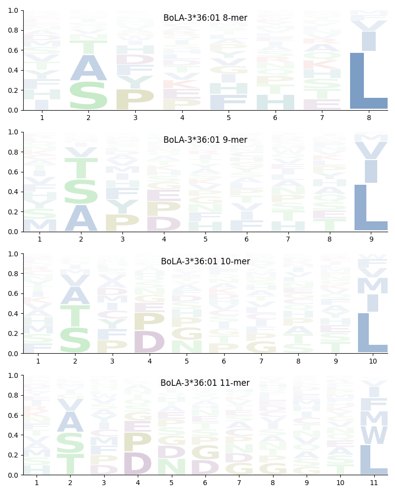 BoLA-3*36:01 motif