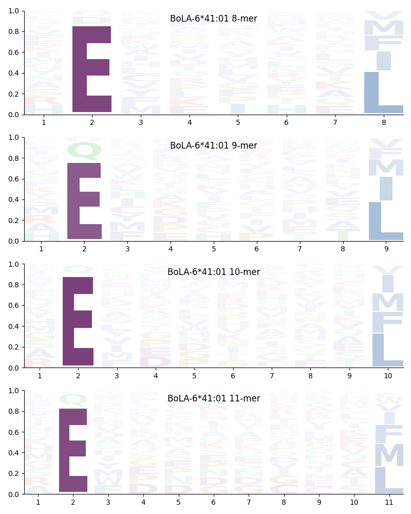 BoLA-6*41:01 motif