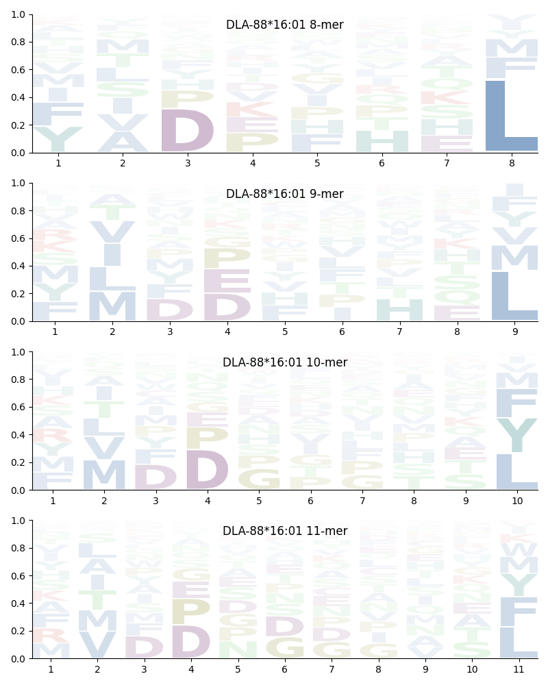 DLA-88*16:01 motif