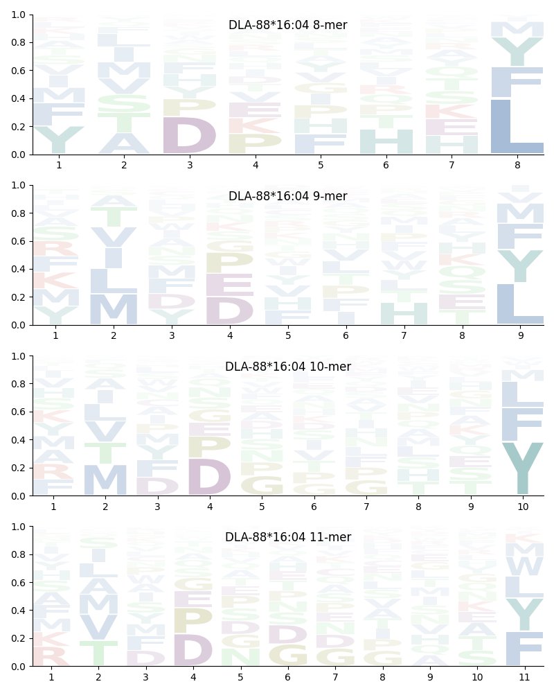 DLA-88*16:04 motif