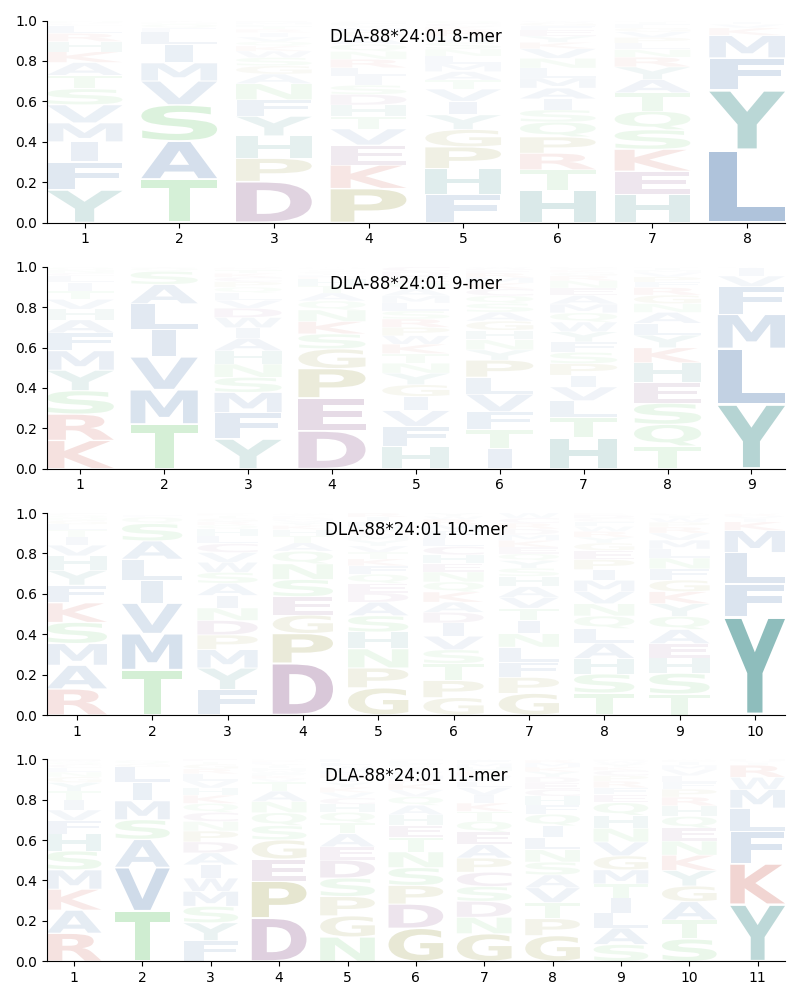 DLA-88*24:01 motif