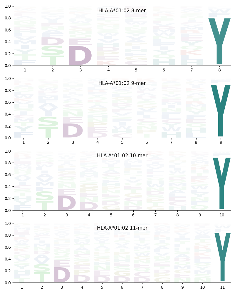 HLA-A*01:02 motif