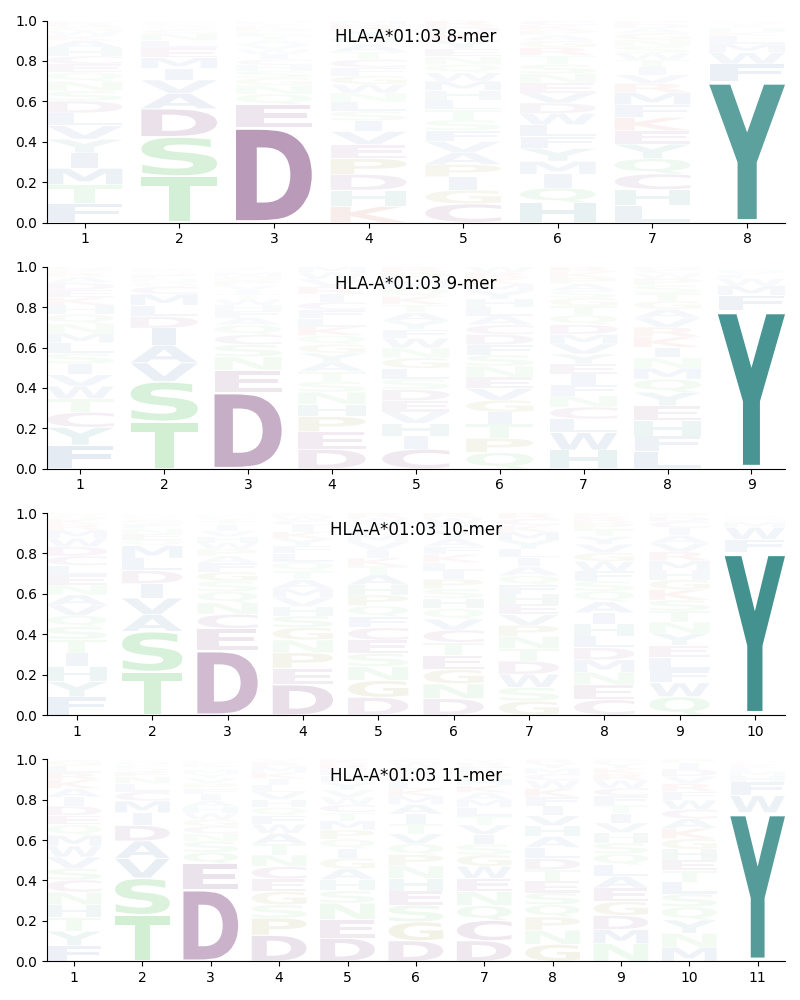 HLA-A*01:03 motif