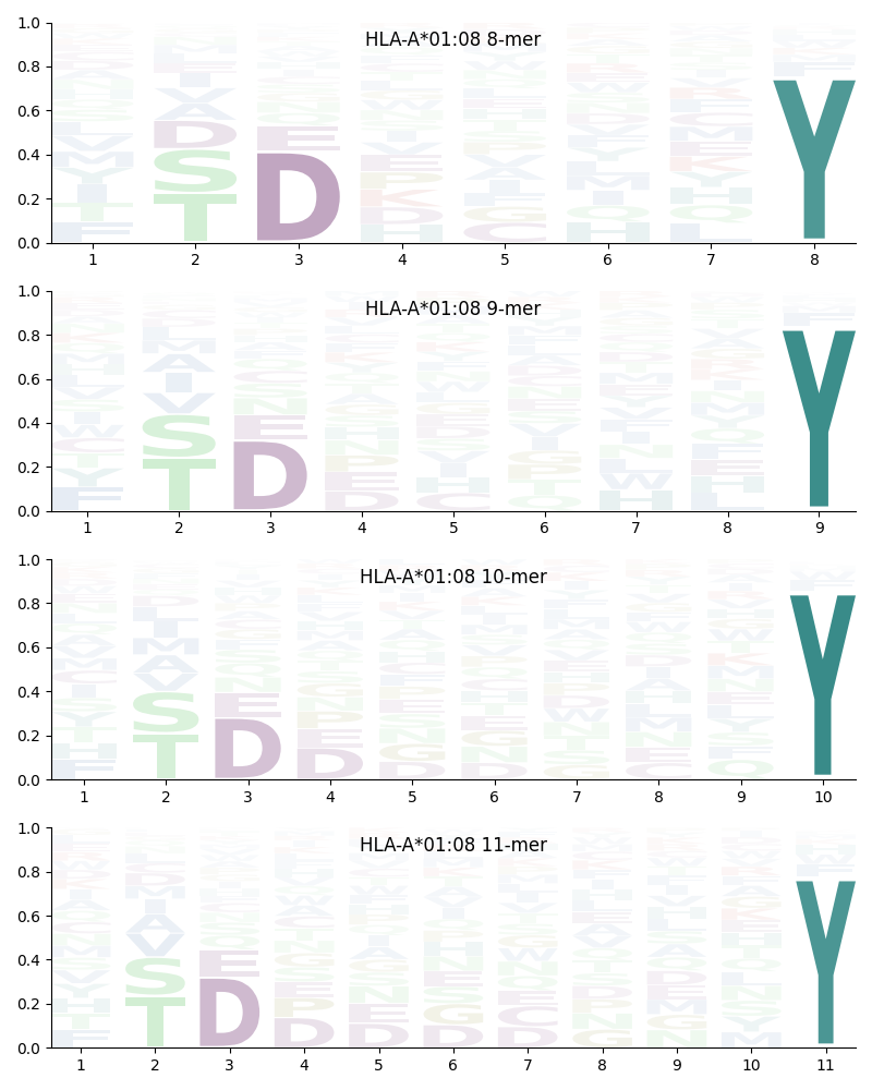 HLA-A*01:08 motif