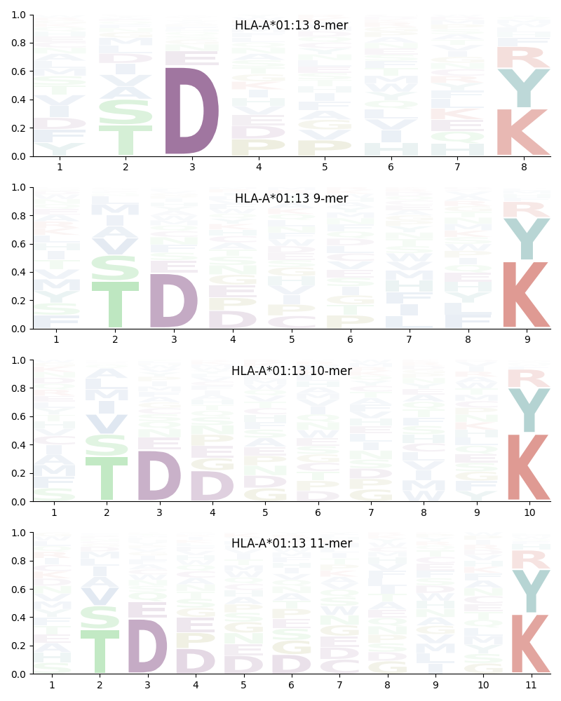 HLA-A*01:13 motif