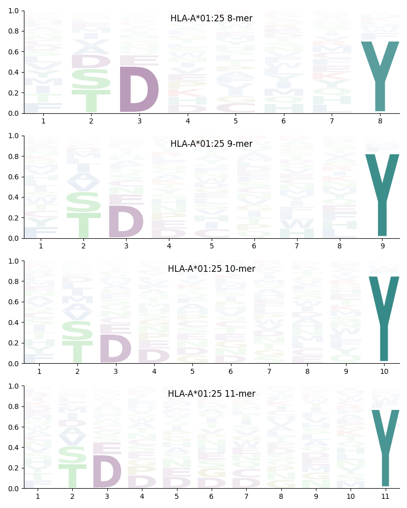 HLA-A*01:25 motif