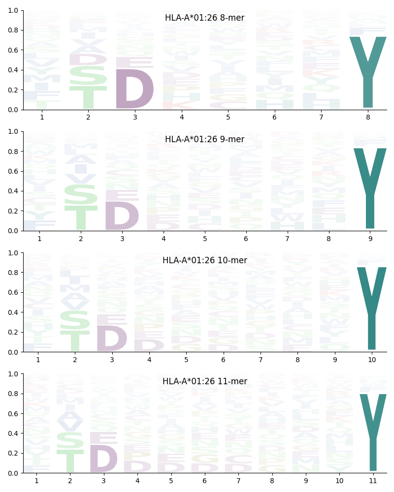 HLA-A*01:26 motif