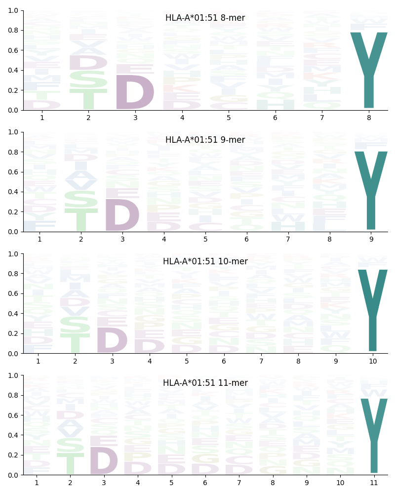 HLA-A*01:51 motif