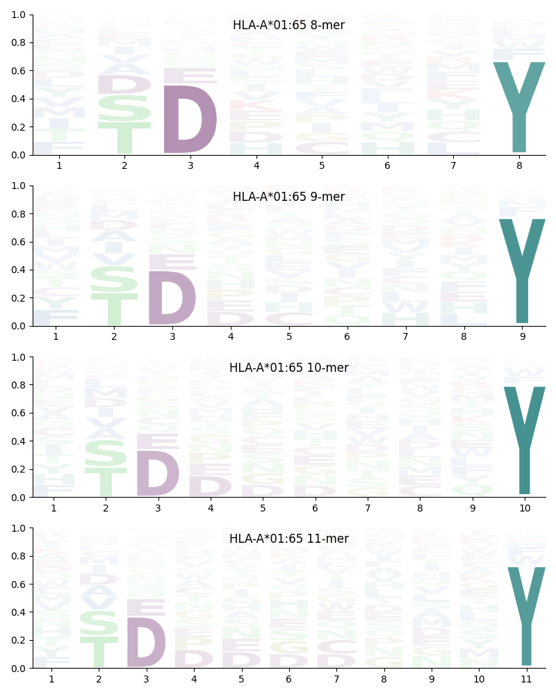 HLA-A*01:65 motif