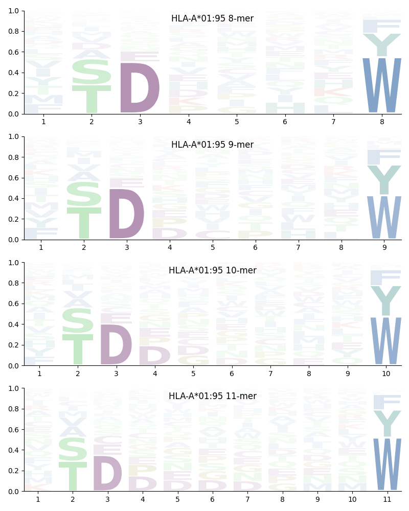 HLA-A*01:95 motif