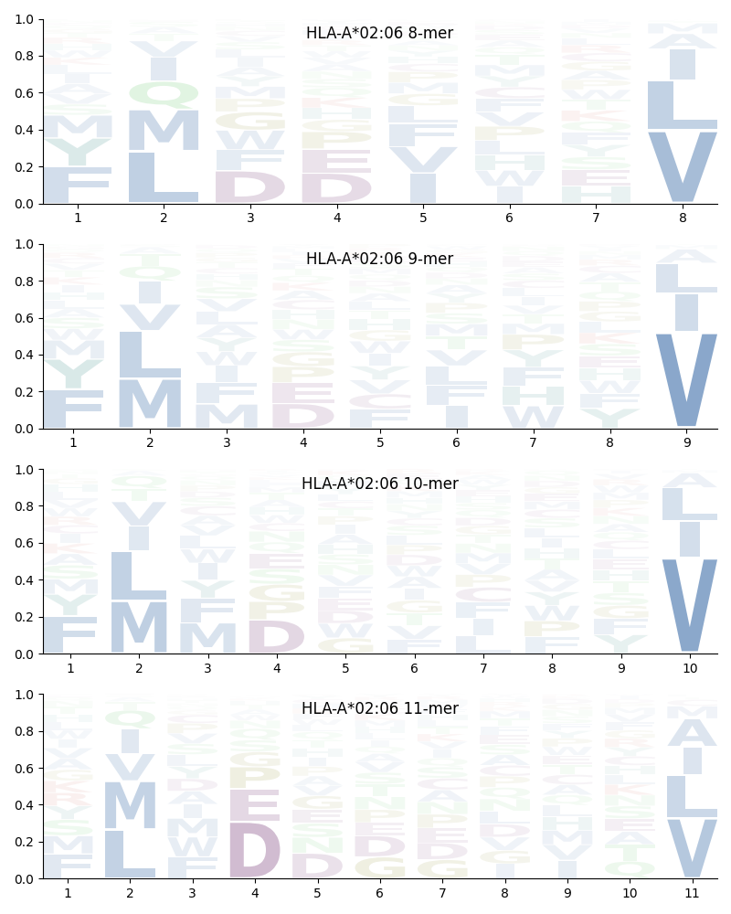 HLA-A*02:06 motif