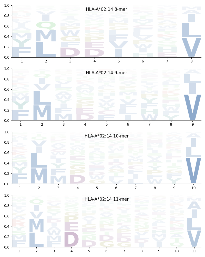 HLA-A*02:14 motif