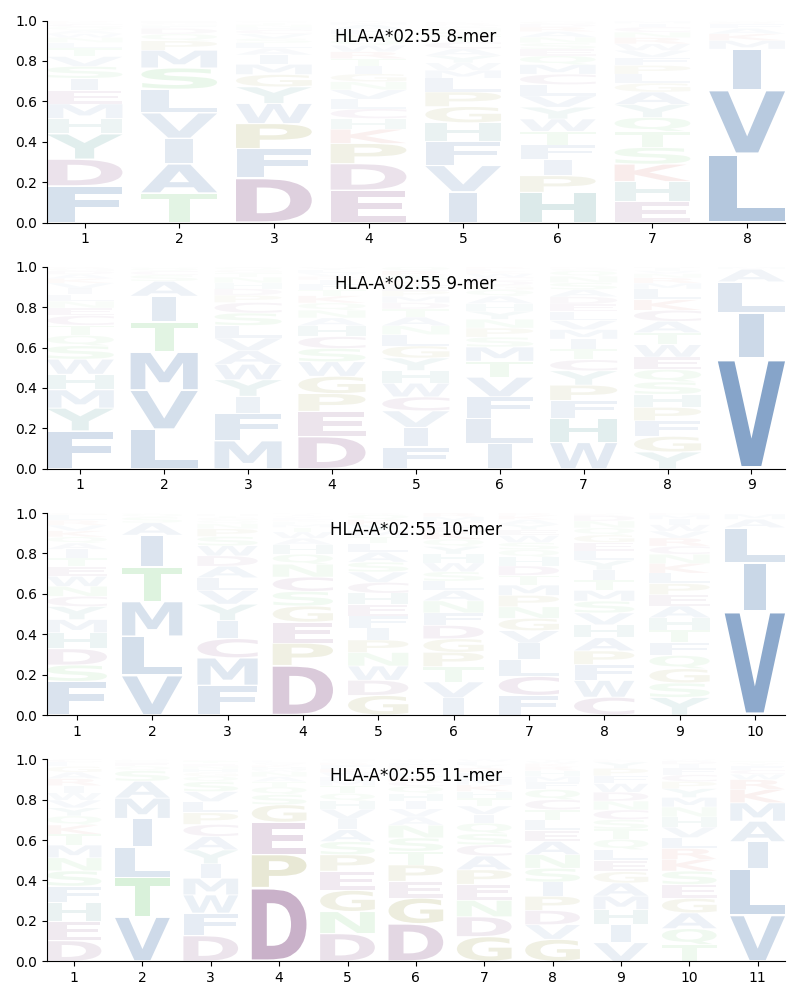 HLA-A*02:55 motif