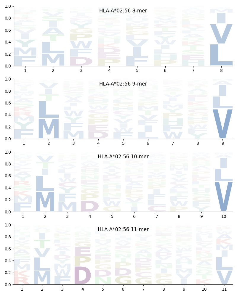 HLA-A*02:56 motif