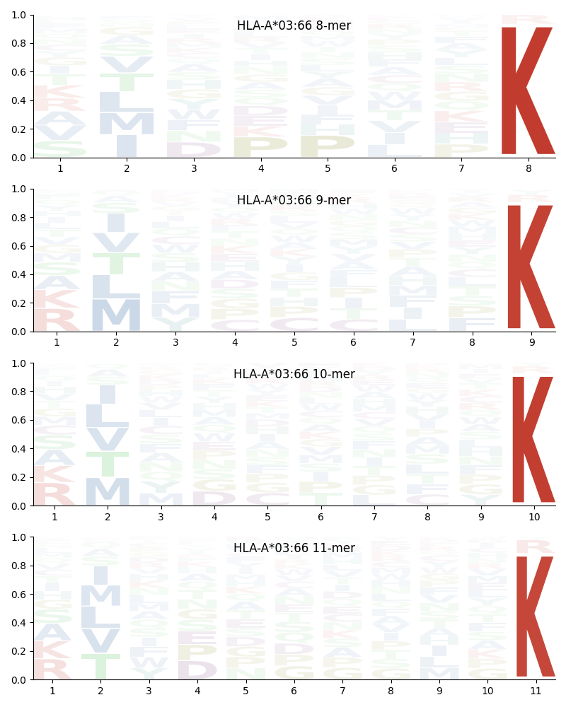 HLA-A*03:66 motif