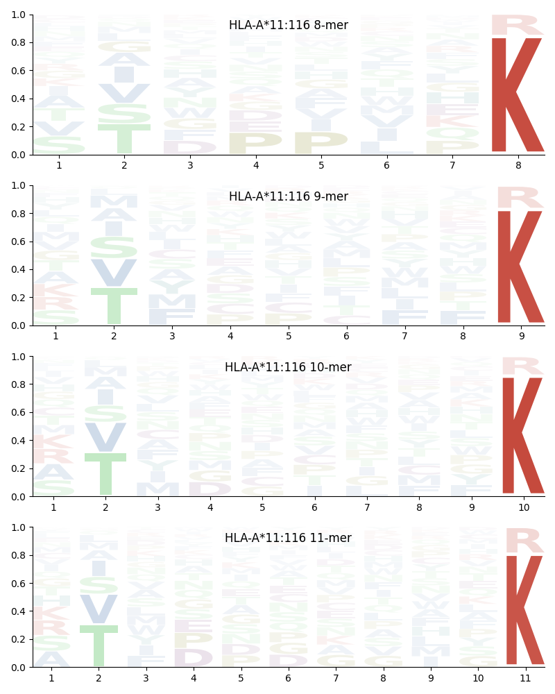 HLA-A*11:116 motif