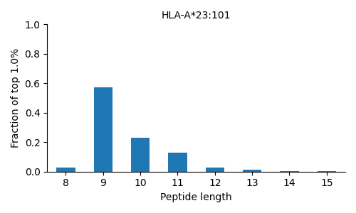 HLA-A*23:101 length distribution