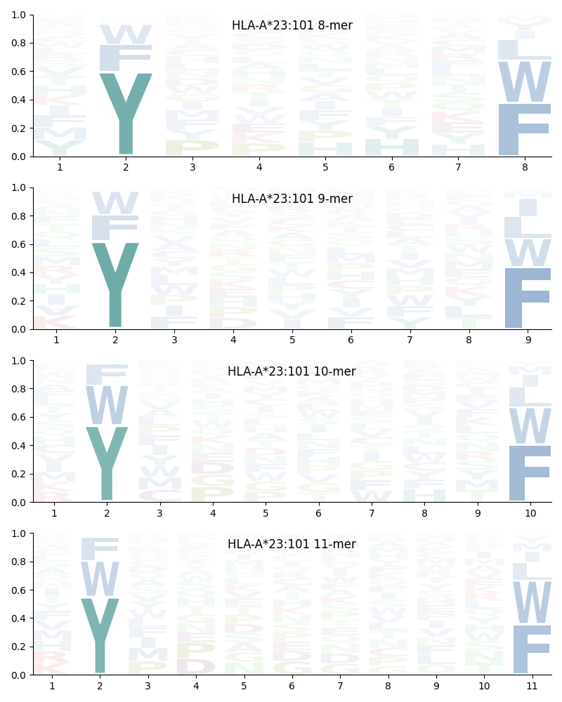 HLA-A*23:101 motif