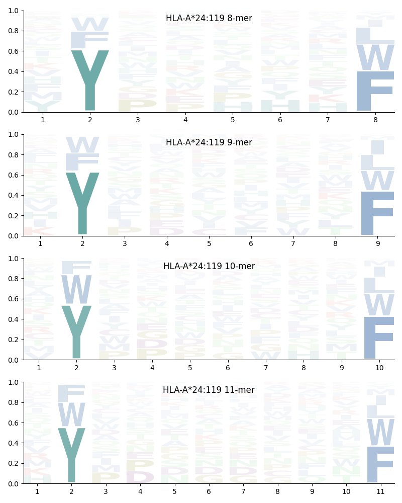 HLA-A*24:119 motif