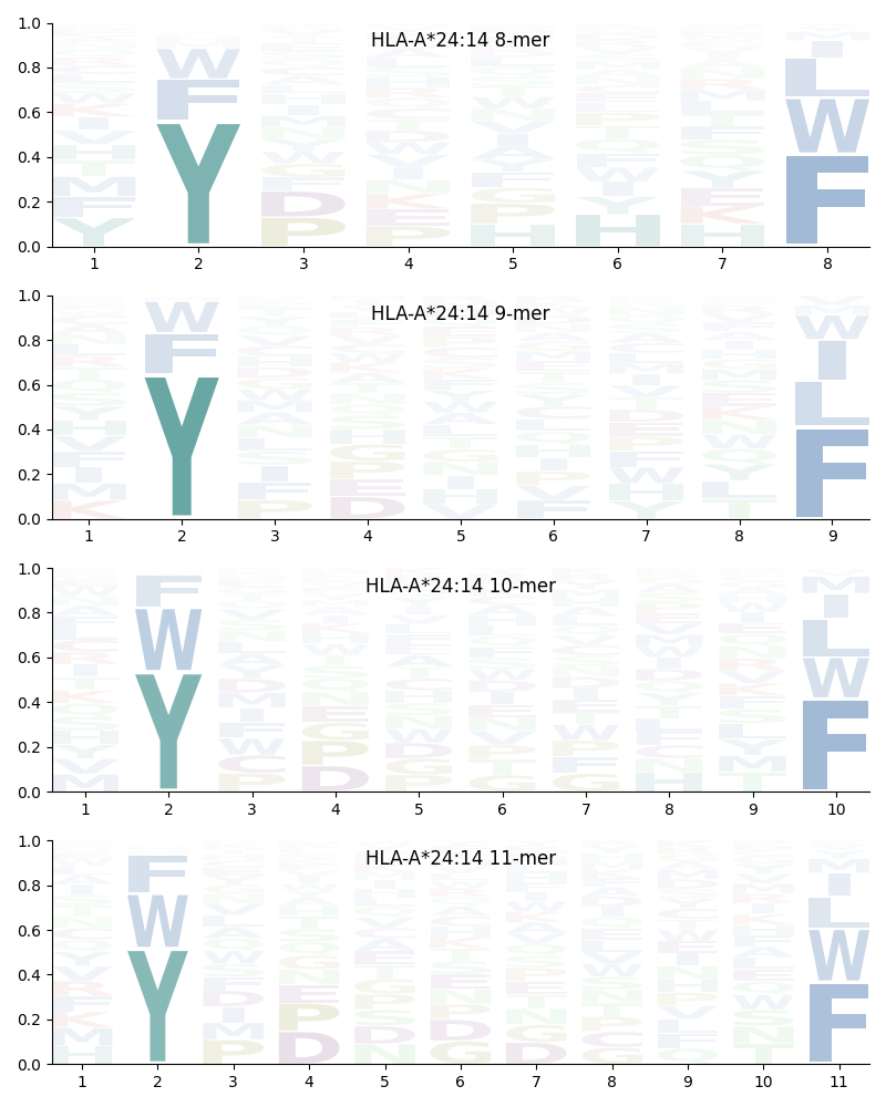 HLA-A*24:14 motif