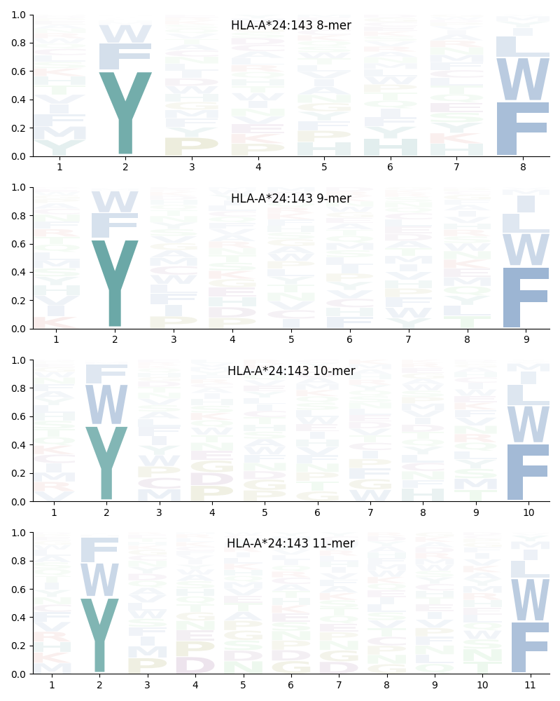 HLA-A*24:143 motif