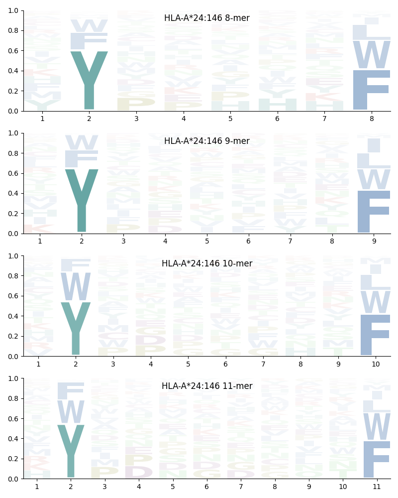 HLA-A*24:146 motif