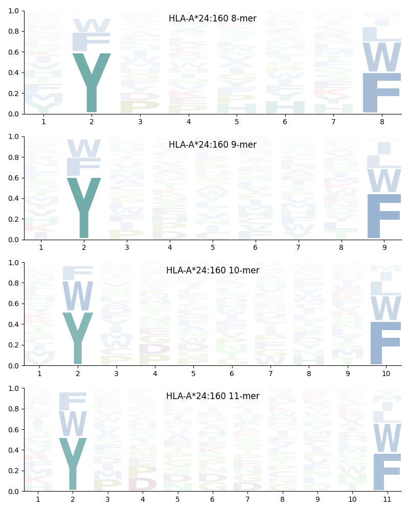 HLA-A*24:160 motif