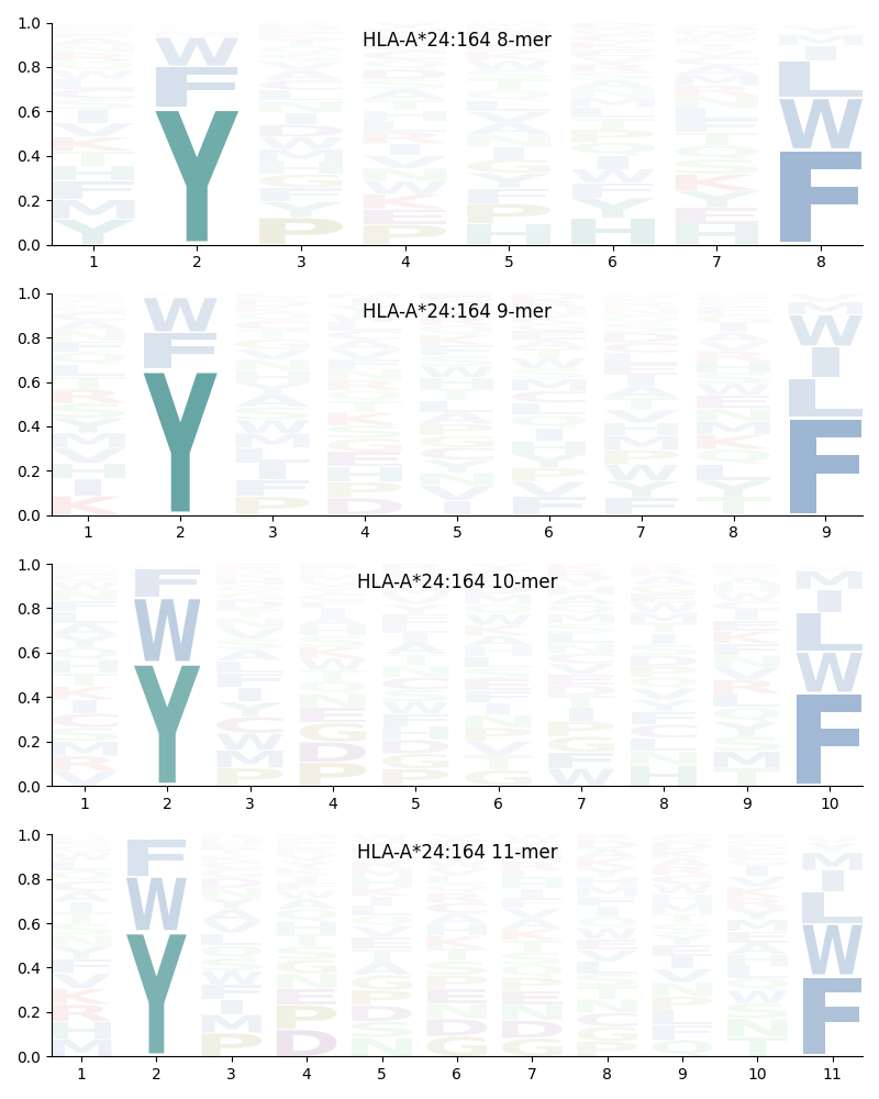 HLA-A*24:164 motif