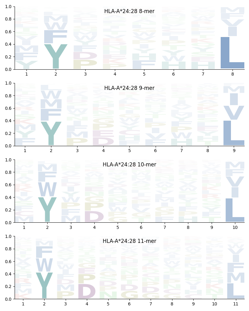 HLA-A*24:28 motif