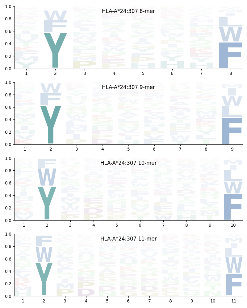 HLA-A*24:307 motif