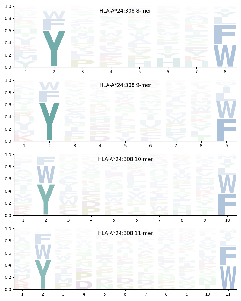 HLA-A*24:308 motif