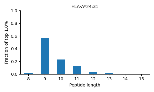 HLA-A*24:31 length distribution