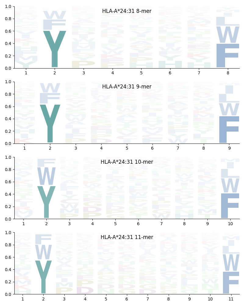 HLA-A*24:31 motif