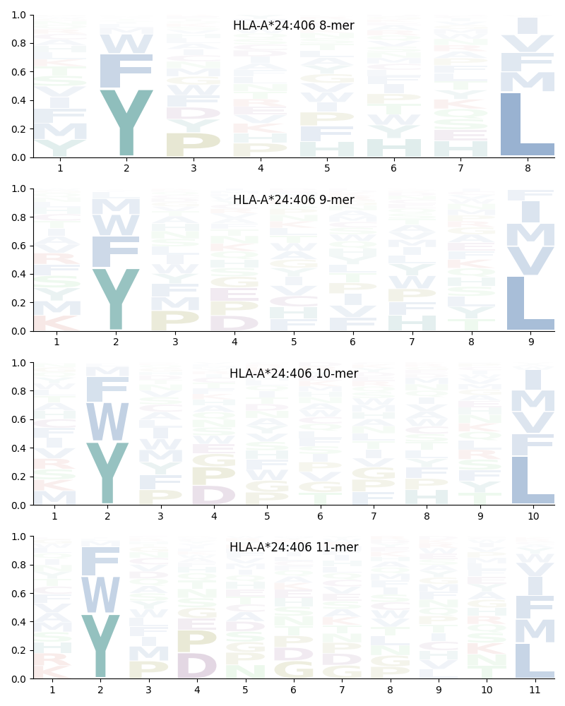 HLA-A*24:406 motif