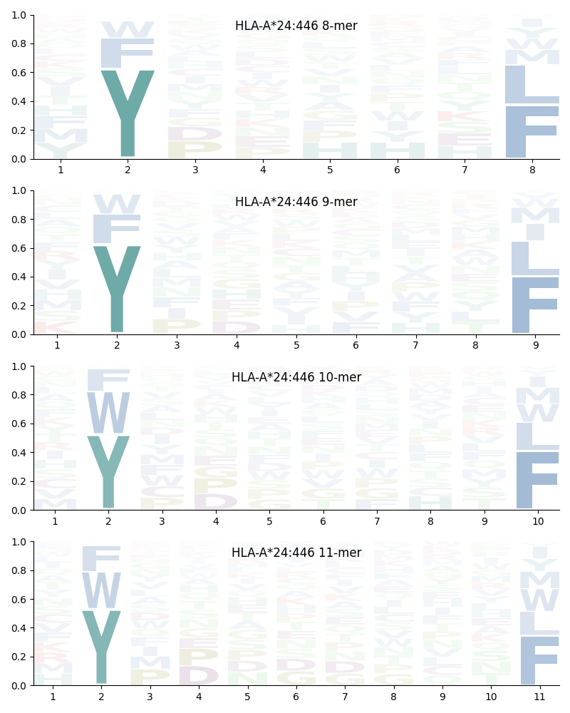 HLA-A*24:446 motif