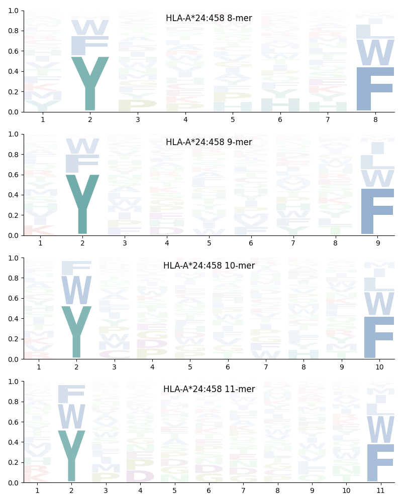 HLA-A*24:458 motif