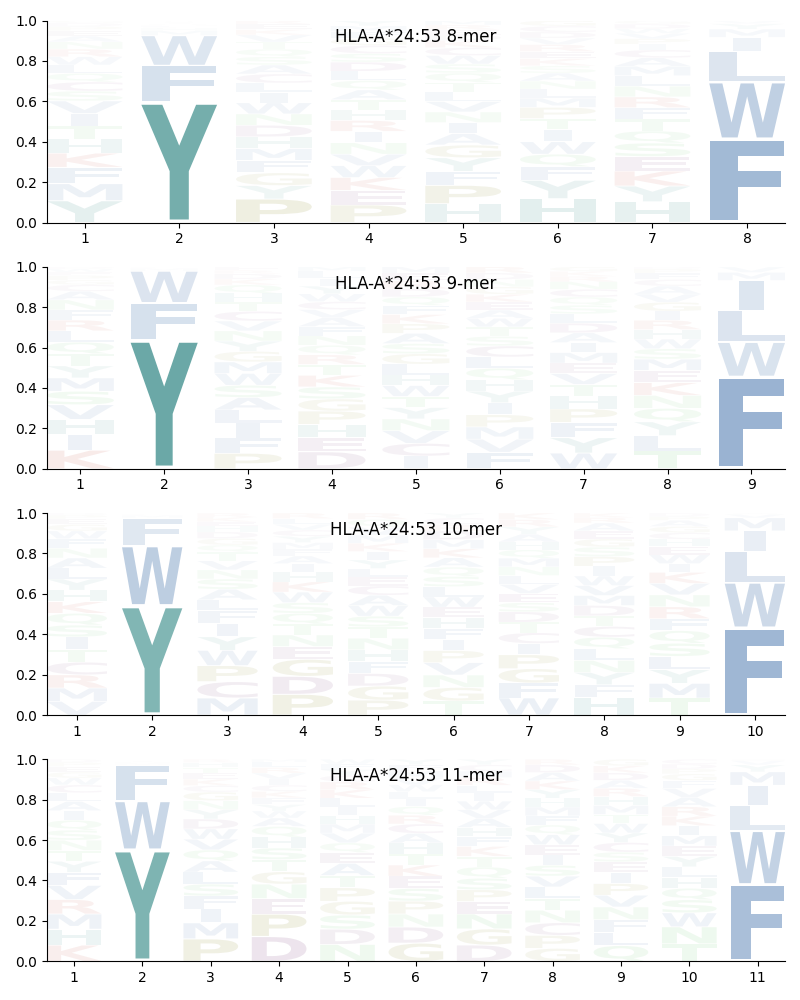 HLA-A*24:53 motif