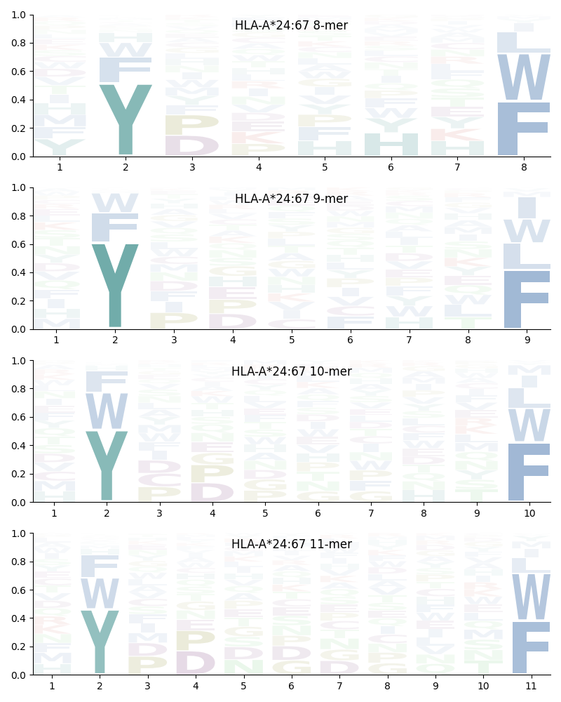 HLA-A*24:67 motif