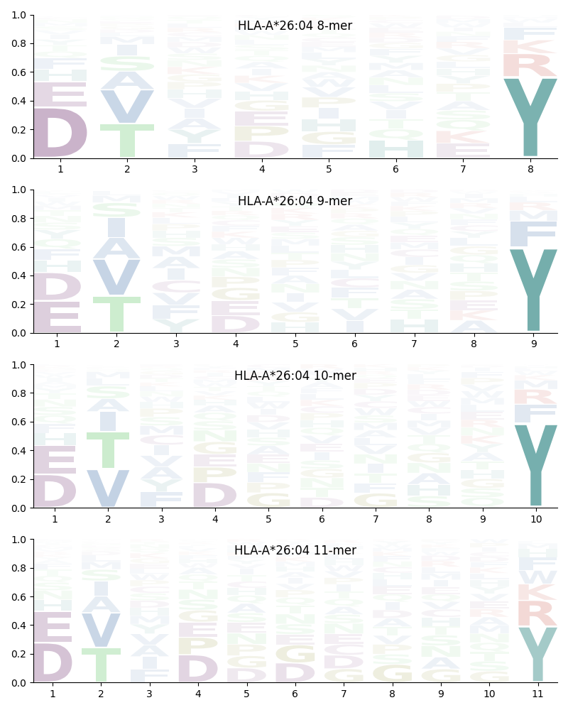 HLA-A*26:04 motif