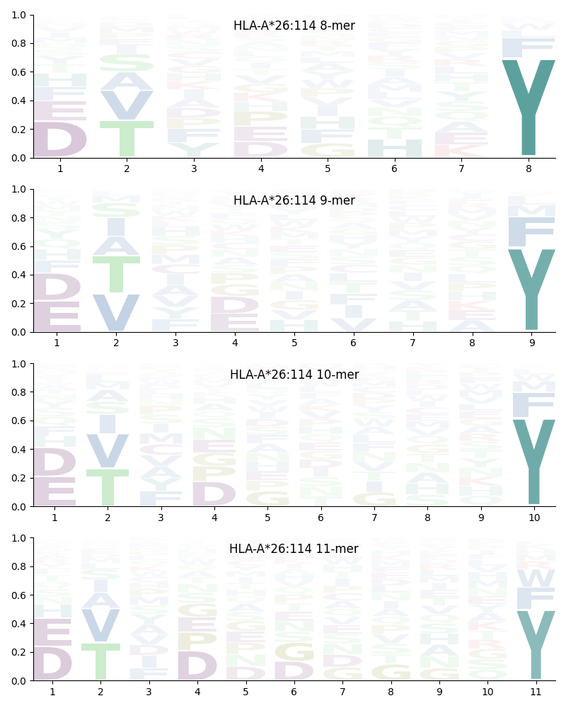 HLA-A*26:114 motif