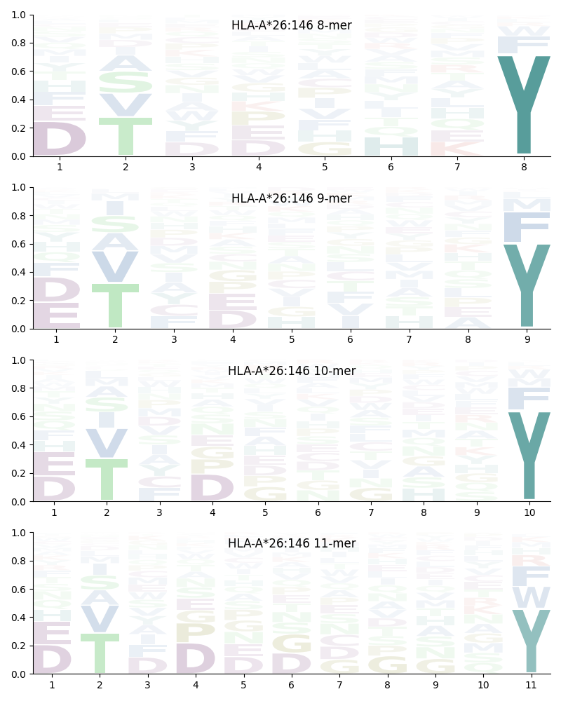 HLA-A*26:146 motif