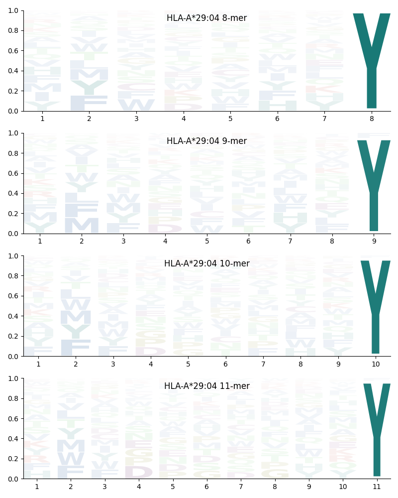 HLA-A*29:04 motif