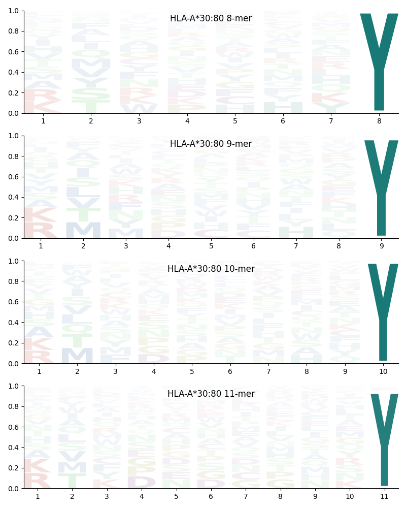 HLA-A*30:80 motif