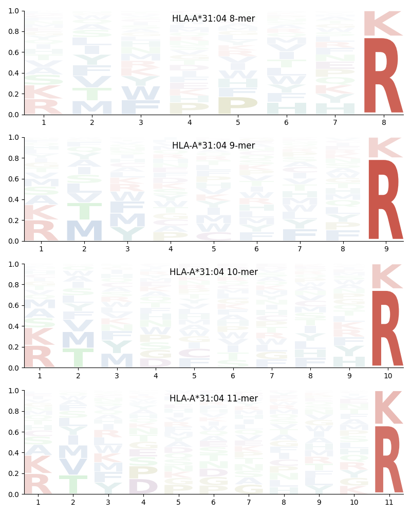 HLA-A*31:04 motif