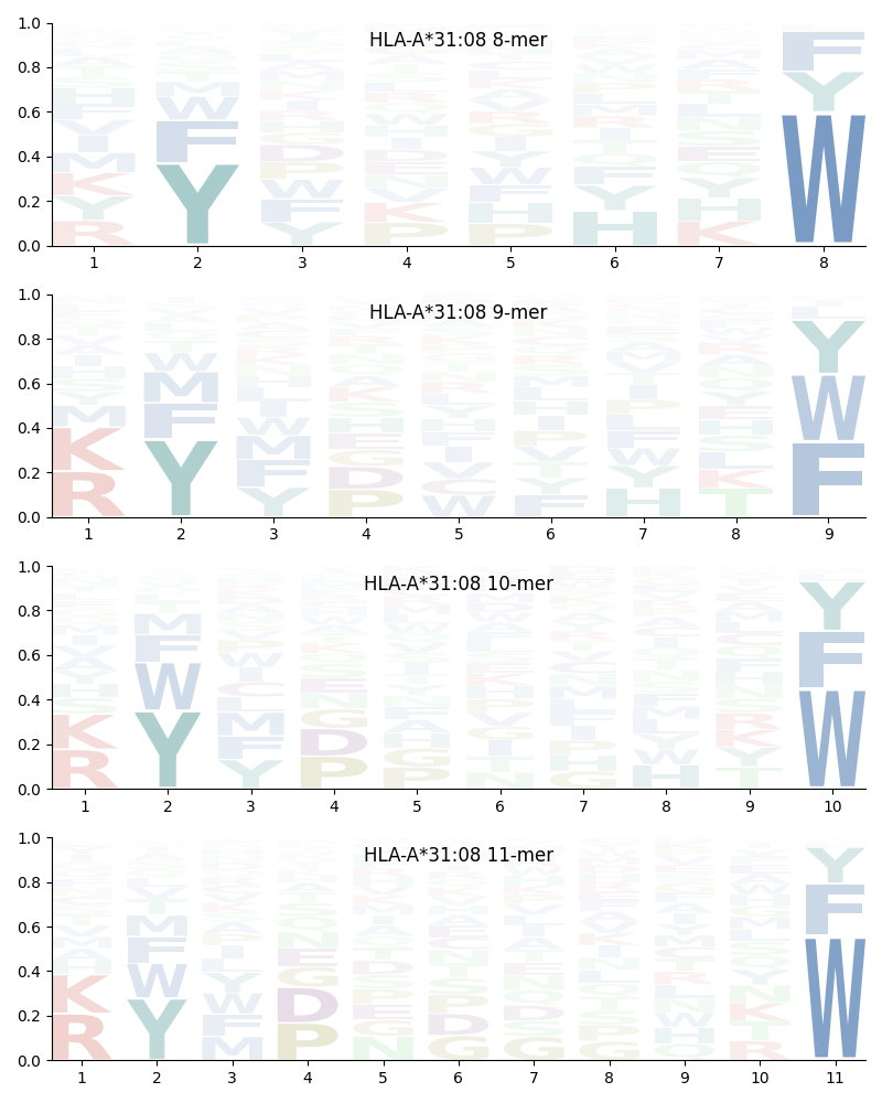 HLA-A*31:08 motif