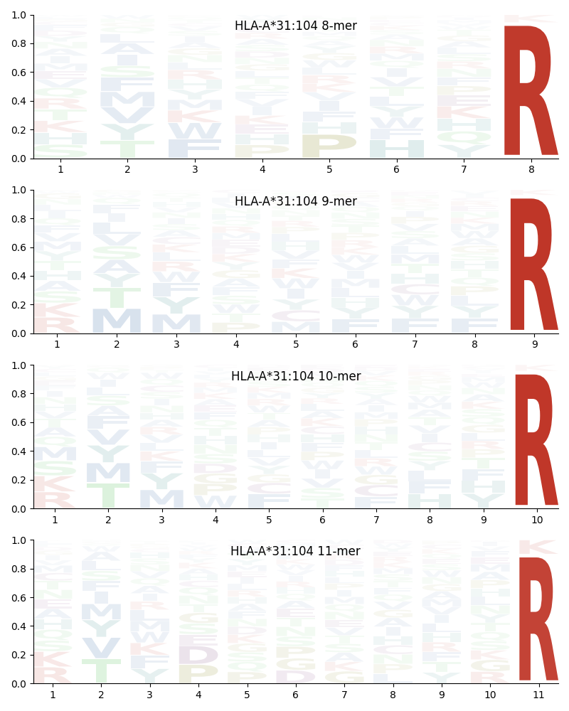 HLA-A*31:104 motif