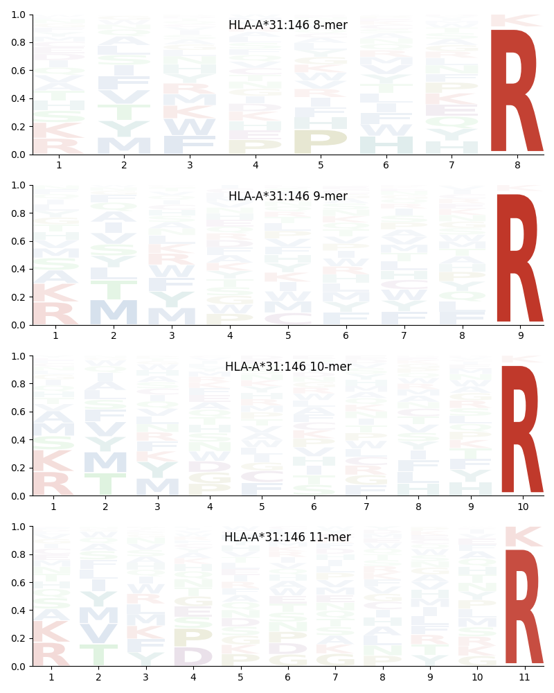 HLA-A*31:146 motif